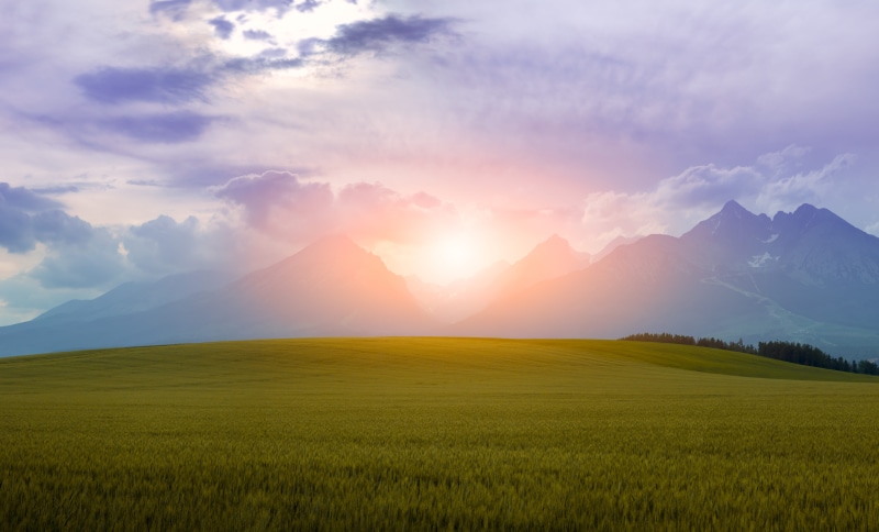non-Urban Scene, grass, summer, near, lens flare, crop, farm, daytime, sky, sun, tranquility, green, sunrise, no people, outdoors, rolling landscape, cloud - Sky