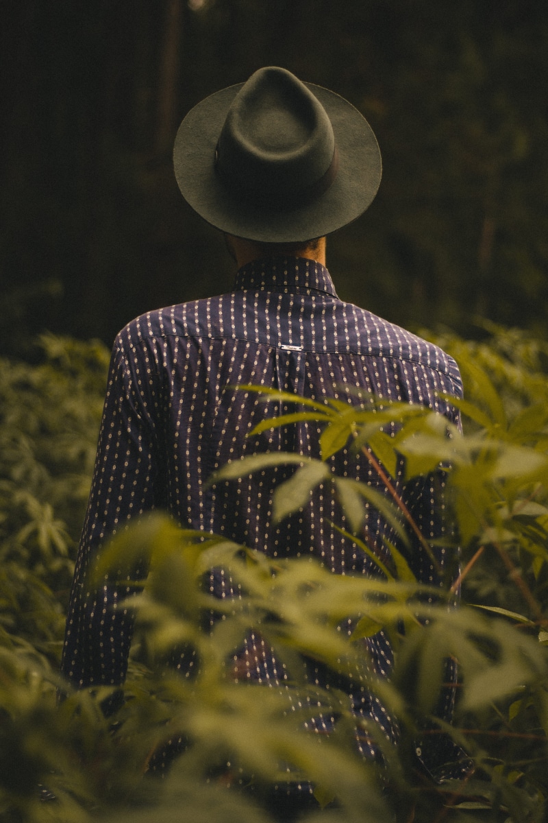 plants, perosn, non-Urban Scene, surrounded, person, cowboy, green, farm, old-fashioned, day, pattern, growth, short, near, field, man, fedora hat, people