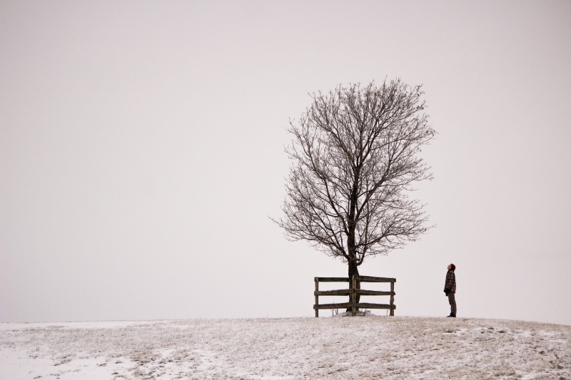 men, landscape, people, cold temperature, snow, park bench, scenics - nature, caucasian, haze, season, hill, bare tree, plant, silhouette, cold, rear view