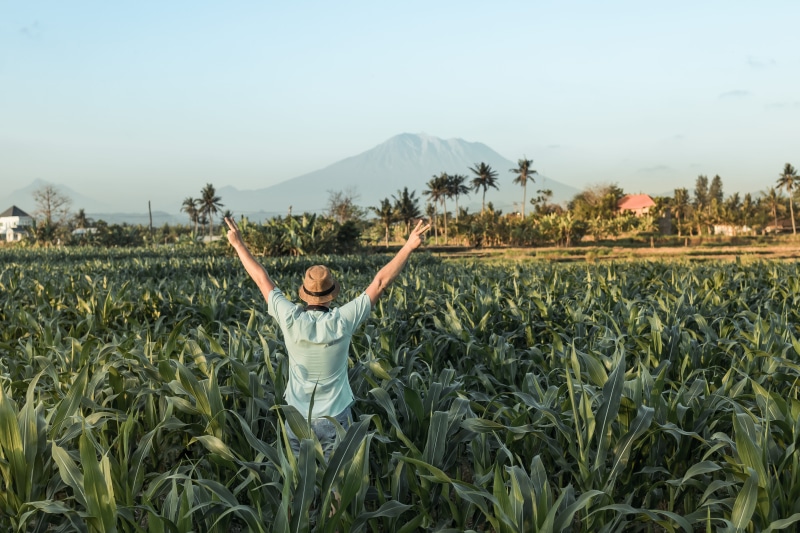 summer, beauty in nature, mountain, plant, sky, food, hat, volcano, success, asia, grow, green, peace sign, travel, countryside, scenery, trees, plantation