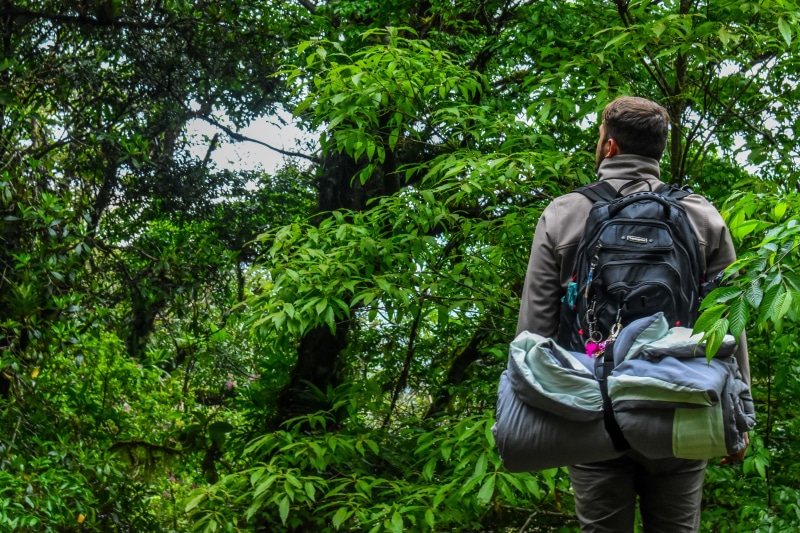 season, leisure, tree, recreation, environment, hike, plant, forest, camping, background, landscape, daylight, adventure, person, green, rear view, three quarter length
