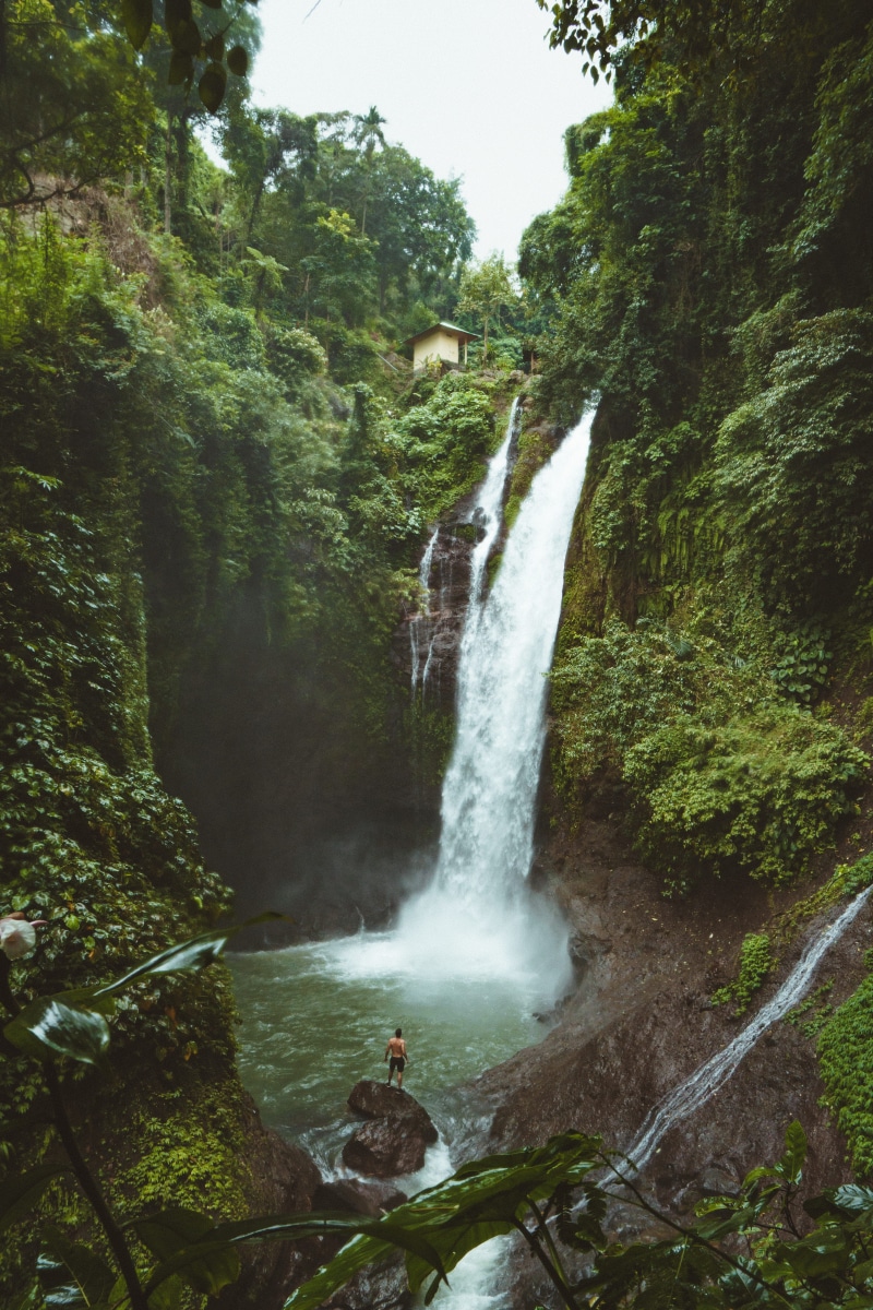 large, near, tropical, real people, top, pool, rock - object, scenics - nature, green, jungle, tree, flowing water, person, long exposure, power, outdoors