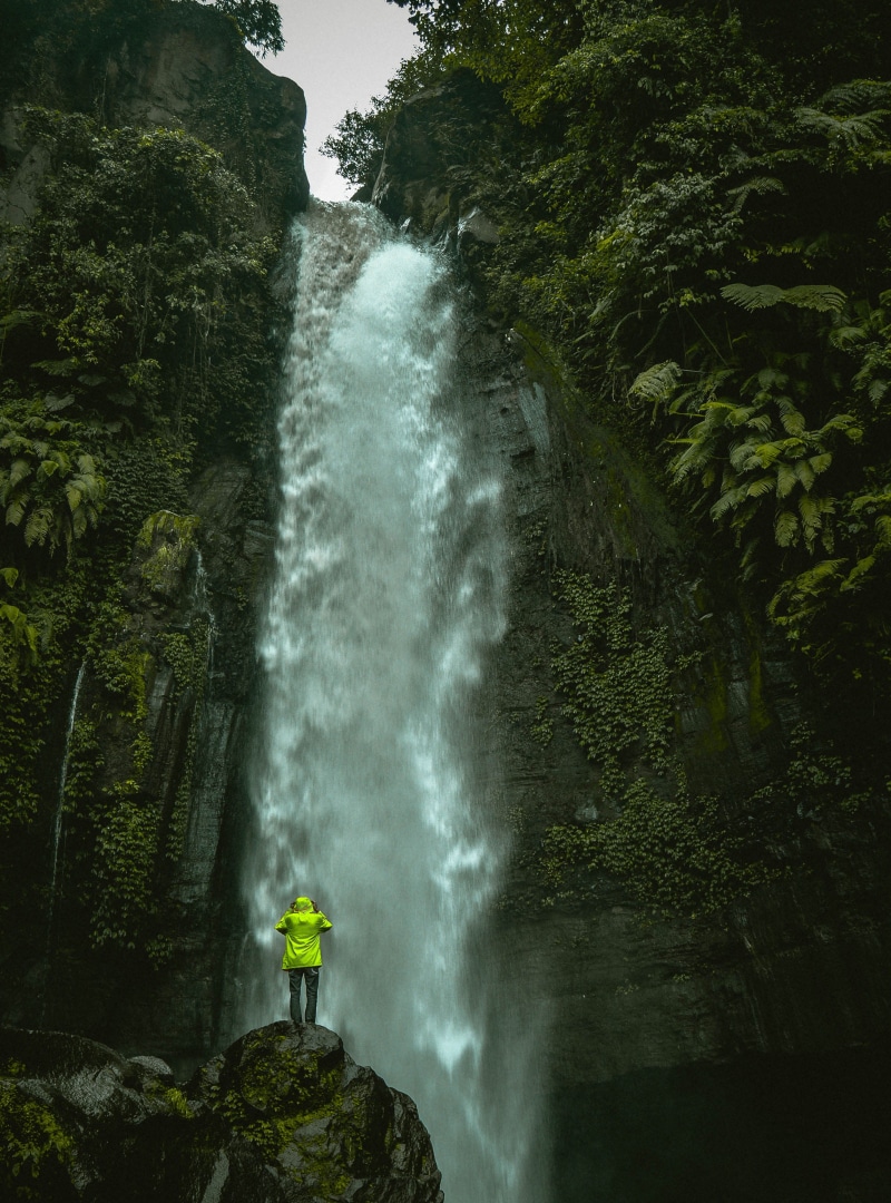 forest, rock - Object, leaves, plant, river, waterfalls, outdoors, scenics - nature, tropical Rainforest, photo, scenics, infront, landscape, flowing water