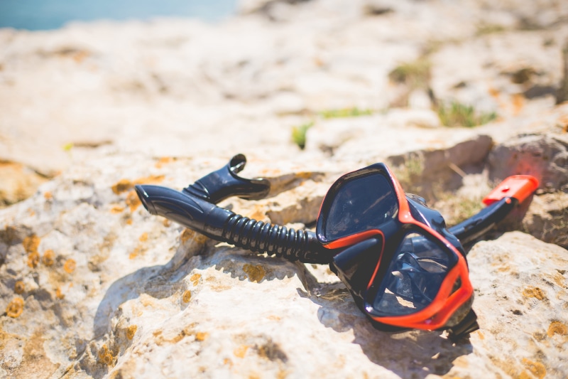 outdoors, near, focus on foreground, one animal, Scuba, water, adventure, Sea, scuba Diving, nature, scuba mask, glasses, sport, fun, close-up, snorkeling