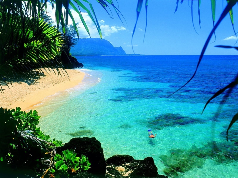 tropical climate, holiday, idyllic, snorkeling, land, outdoors, turquoise colored, tropical, coast, palm tree, water, vacations, horizon, trip, tree, tranquility