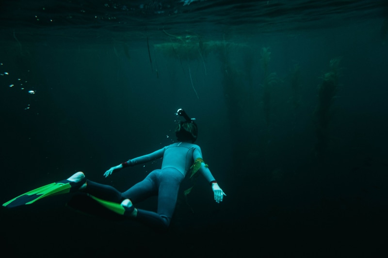 wetsuit, nature, wearing, pair, seaweed, 5K, aquatic sport, grey, sea, exploration, real people, person, diving equipment, underwater, diving suit, daytime