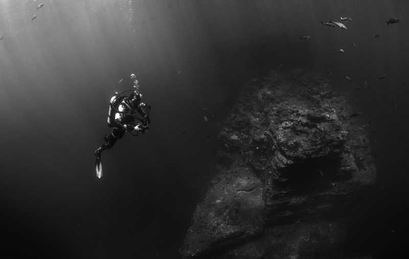 ocean, man, undersea, deep, day, scuba diving, dark, 5K, underwater diving, oxygen, diver, diving, flippers, exploration, sport, scuba diver, water, fish