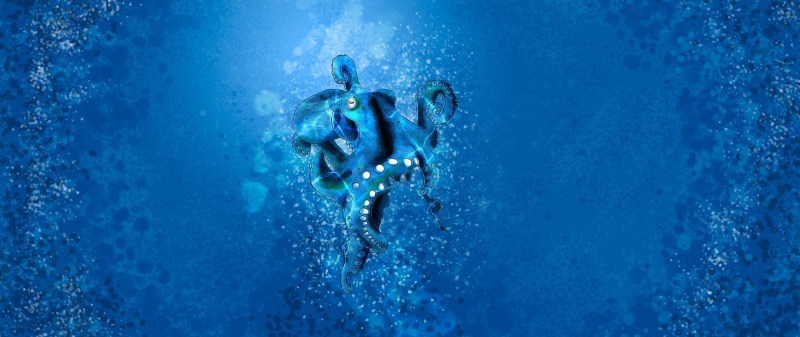 motion, undersea, people, underwater, exploration, adventure, painting, lifestyles, 2K, paint in water, nature, swimming, swimming pool, aquatic sport