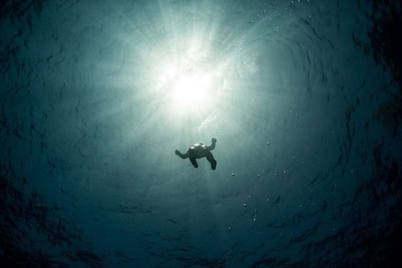 underwater, swimming, sunlight, sport, underwater diving, diving equipment, silhouette, marine, scuba diving, sea, leisure activity, animal, water, real people