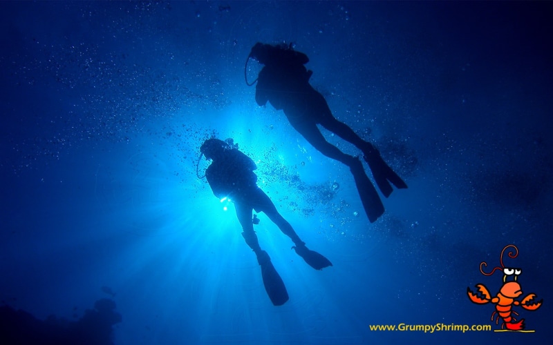 leisure activity, nature, marine, adventure, aquatic sport, swimming, divers, 1080P, sea, silhouette, undersea, sport, unrecognizable person, underwater