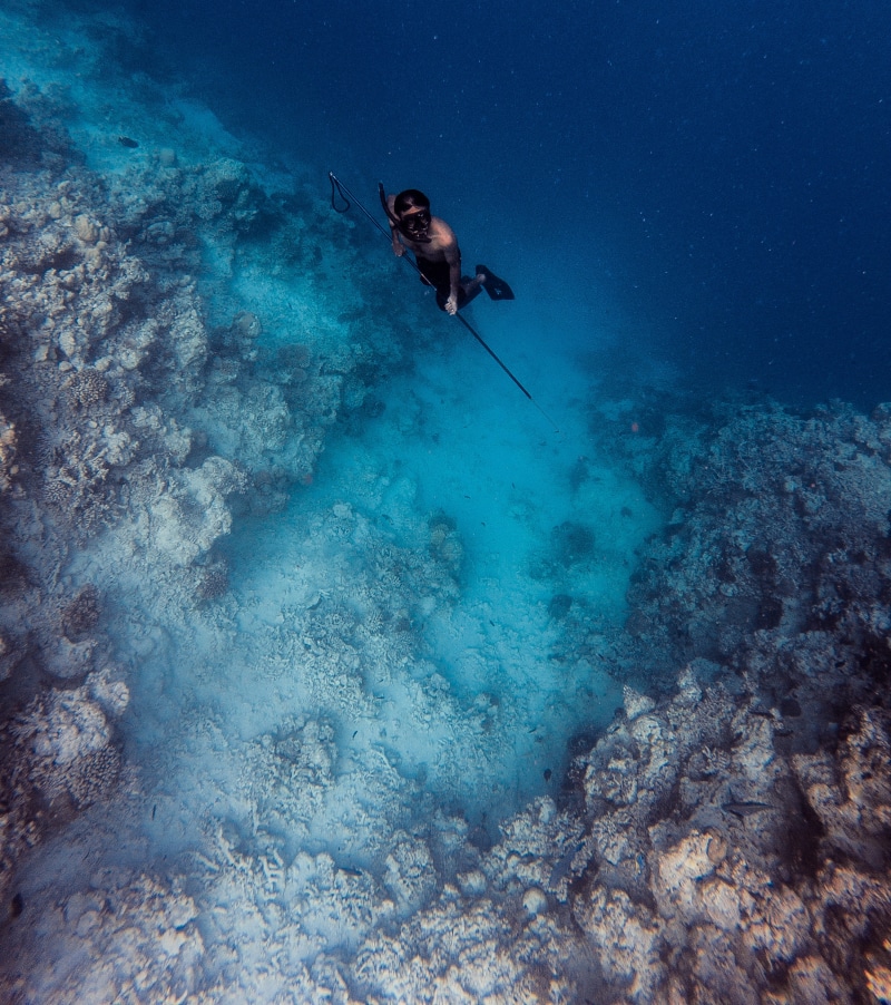 men, below, extreme Sports, exploration, harpoon, diving, tropical Climate, blue, holding, action, scuba Diving, underwater Diving, reef, mask, people