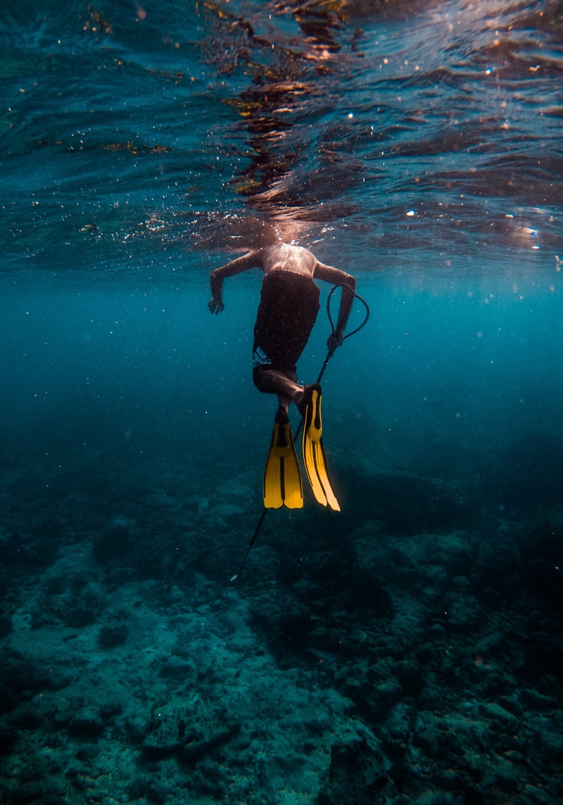 sunset, diving Into Water, ocean, tropical Climate, pair, diving Flipper, beach, water Sport, sun, summer, men, water, blue, gopro, animal, maldives, wetsuit