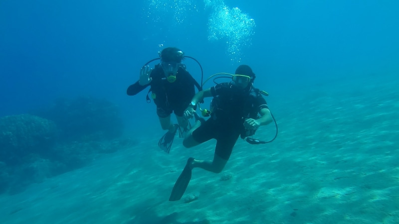 two people, nature, togetherness, 1080P, underwater diving, unrecognizable person, scuba, deep, diving, fish, water, diving equipment, leisure activity