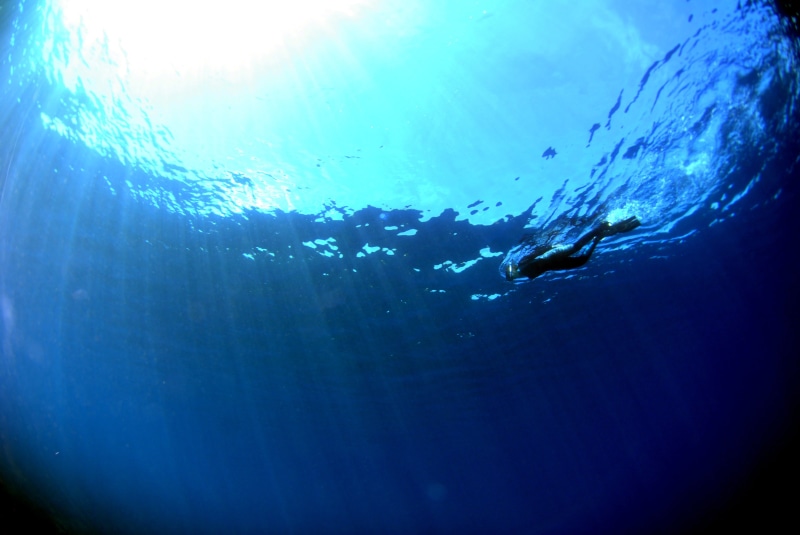 body, day, adventure, wet, person, unrecognizable person, undersea, suit, angle, diving, black, swimming, sea, photography, leisure activity, diving equipment