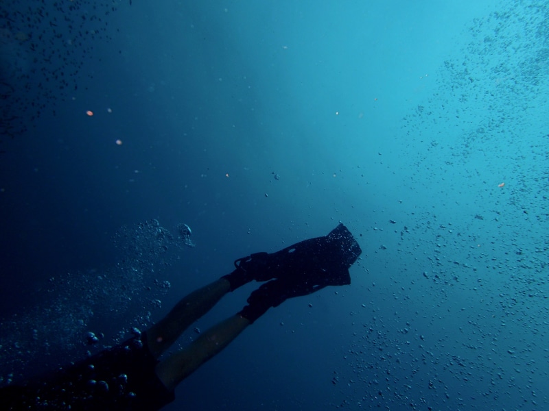 diving flipper, exploration, real people, aquatic sport, adventure, diving gear, diver, shipwreck, bubble, marine, swimmer, fin, one person, underwater diving