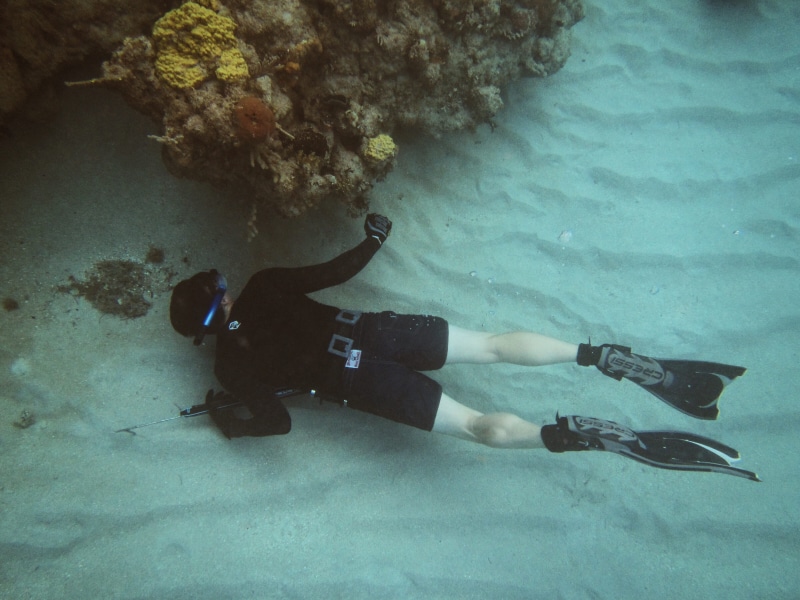 undersea, marine, adventure, cuba, swimming, leisure activity, sport, aquatic sport, diving flipper, one person, outdoors, exploration, ocean, underwater