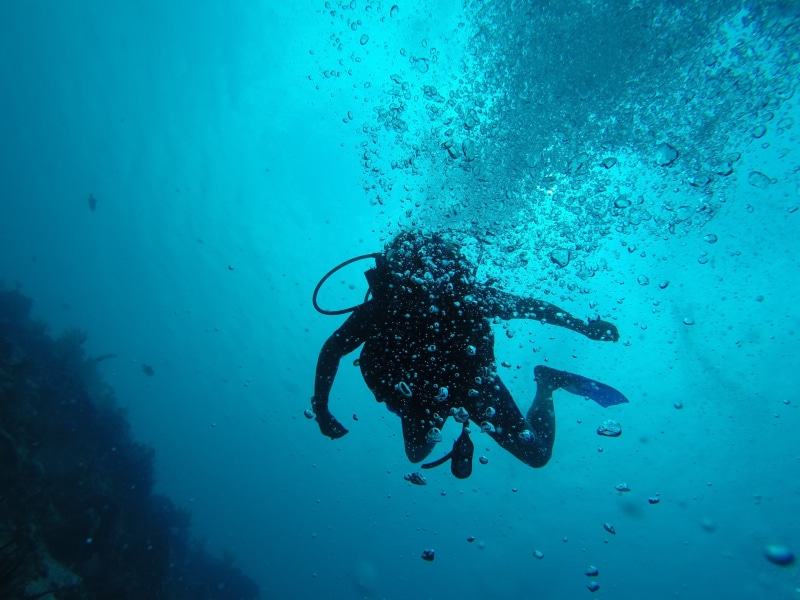 underwater, water, scuba, 2K, marine, adventure, sport, aquatic sport, swimming, undersea, exploration, scuba Diving, blue, diving equipment, bubbles