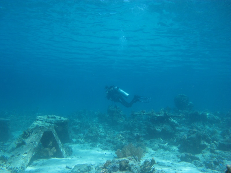 diver, coral, nature, water, adventure, underwater, real people, tank, oxygen, shore, reef, beach, diving equipment, one person, sea, aquatic sport, blue