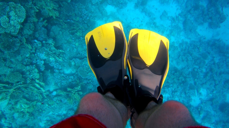 one person, padi, colorful, undersea, diving flipper, real people, salt water, aquatic sport, underwater, human body part, Fins, sea water, breathing apparatus