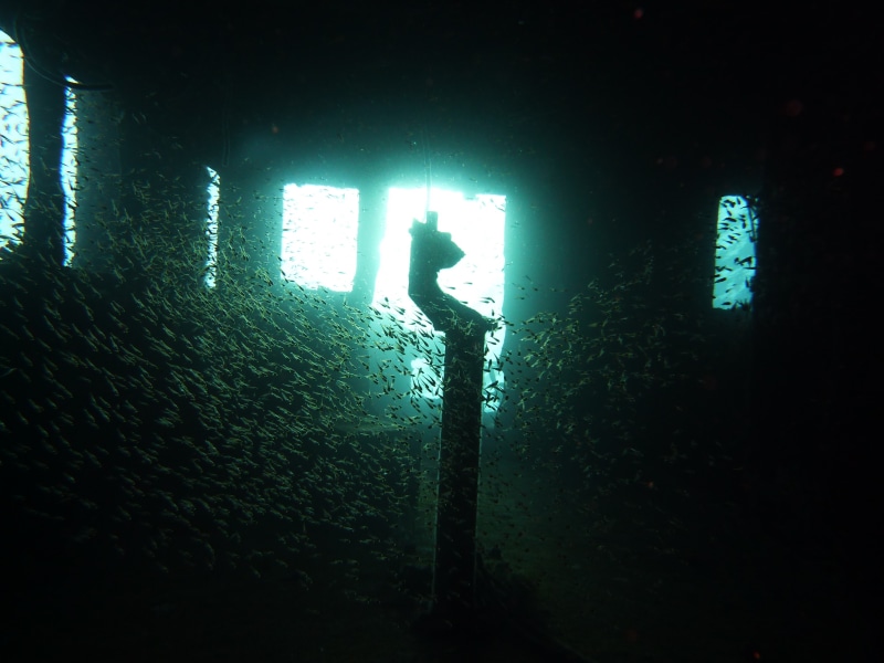 ship, sea, diving, wreck, undersea, underwater, diving flipper, accident, scuba diving, back light, bridge, light, water, aquatic sport, one person, silhouette