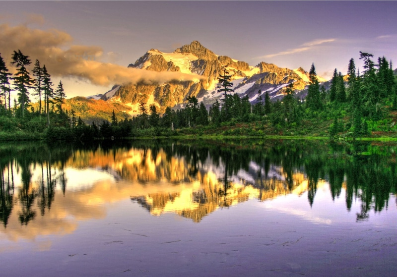 lovely, covered, travel, nature, summer, infront, beauty In Nature, Larsen, outdoors, trees, North Cascades, Mt, reflection, mountain Peak, Envy, tree