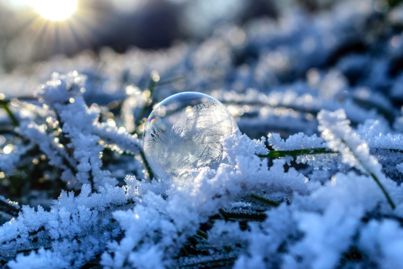 selective focus, close-up, backgrounds, weather, fir Tree, ice, christmas Ornament, cold temperature, snowflake, outdoors, frost, orb, white color, environment