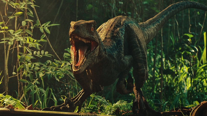 jurassic, dinosaurs, world, kingdom, 4K, fallen