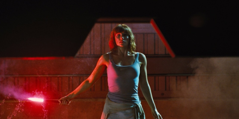 indoors, Jurassic Park, emotion, sport, Jurassic World, portrait, front view, night, three quarter length, looking at camera, adult, pride, 1080P, one person
