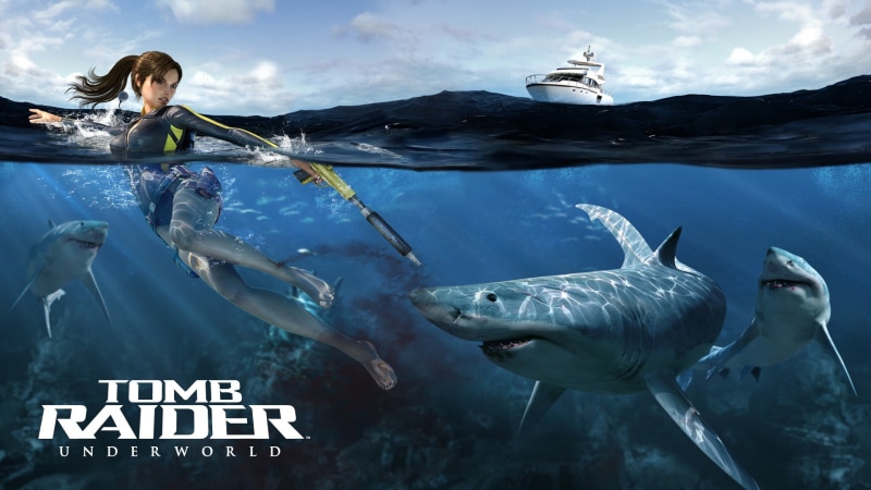 animals in the wild, fish, animals in captivity, Lara Croft, sea life, aquarium, water, aquatic mammal, sea, undersea, vertebrate, outdoors, animal wildlife