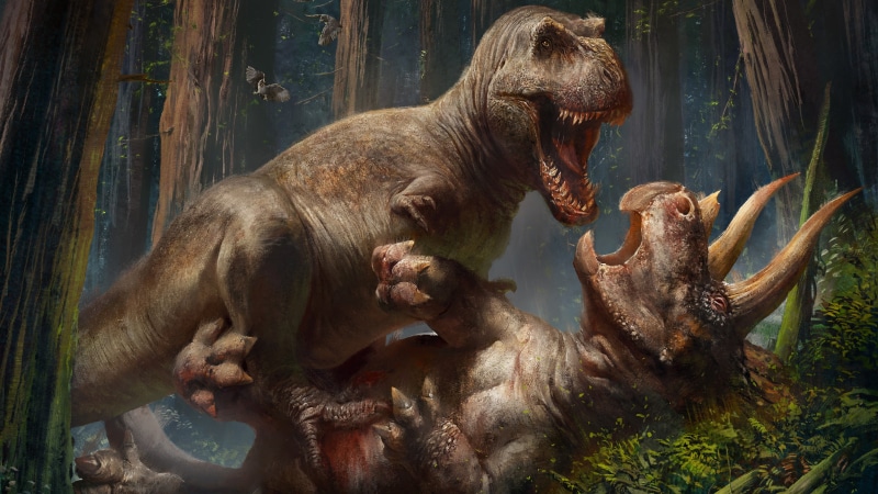 Triceratops, prehistoric, 4K, fighting, animals, T-Rex, creature, dinosaurs, Tyrannosaurus rex
