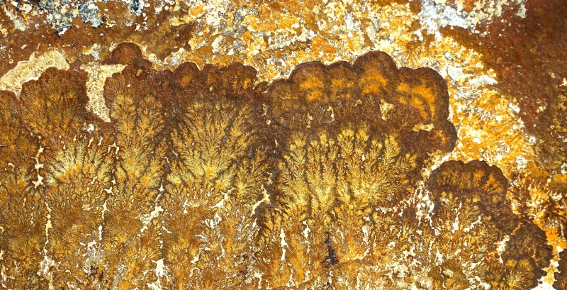 jura, prehistoric times, old, ancient, eroded, rock formation, 5K, close-up, jurassic sea, growth, no people, steinplatte, geology, outdoors, decorative