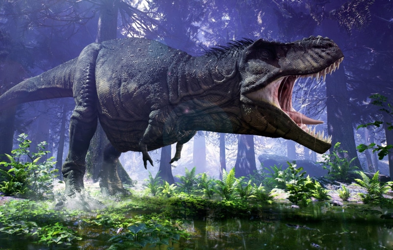 Dinosaur, Tyrannosaurus Rex, Animal, 1080P