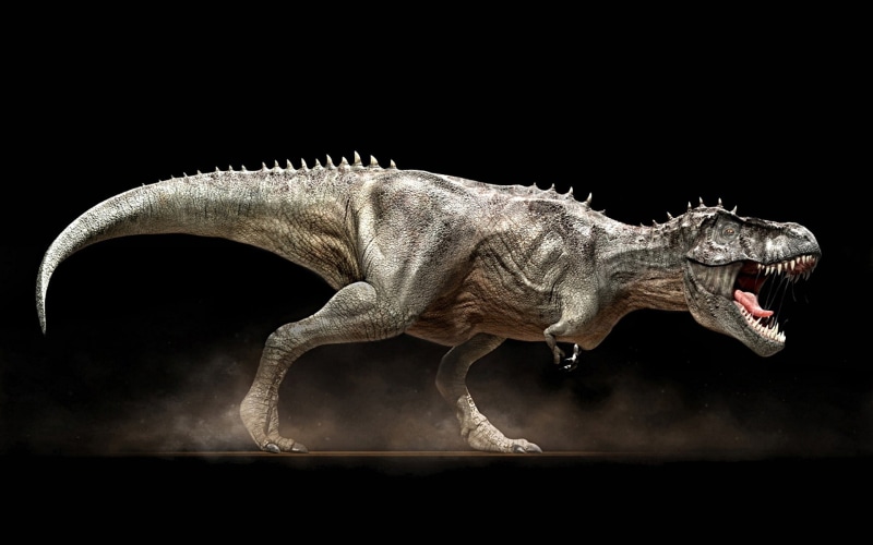 1080P, dinosaurs, tyrannosaurus, rex