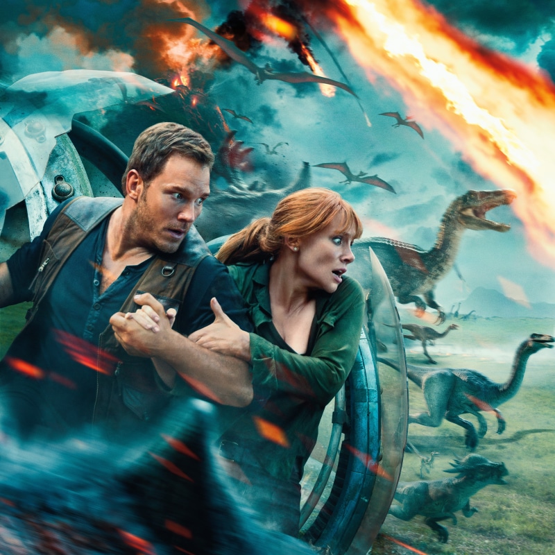 females, men, 2018, water, Bryce Dallas Howard, young adult, young men, Jurassic World: Fallen Kingdom, 5K, Chris Pratt, people, togetherness, young couple