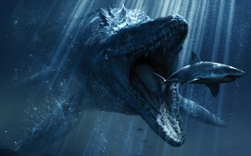 Movies, undersea, fish, sea, no people, blue, swimming, one animal, sea life, mammal, animal, vertebrate, nature, water, 2K, mouth open, animal wildlife