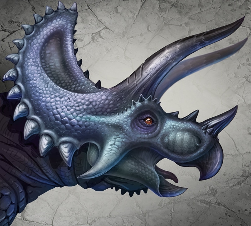 one animal, close-up, motorcycle, underwater, part, marine, dinosaurs, animal wildlife, indoors, sea, swimming, animal body part, animals, animals in the wild