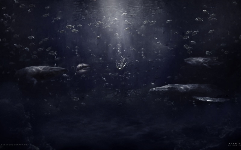 day, group of animals, sea, swimming, shark, vertebrate, nature, digital art, whale, underwater, water, 1080P, mammal, artwork, animal wildlife, motion