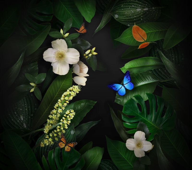 Flowers, Butterflies, Leaves, 2K, Stock, Huawei Mate 10