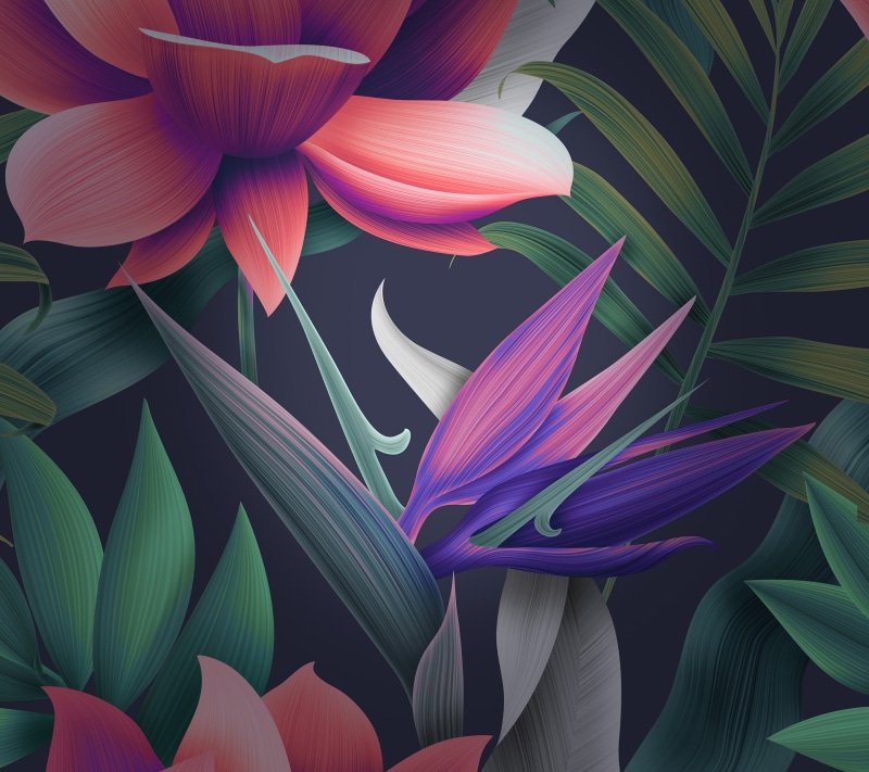 HD, Flowers, Leaves, Huawei Mate 10, Orange, 2K, Stock, Purple