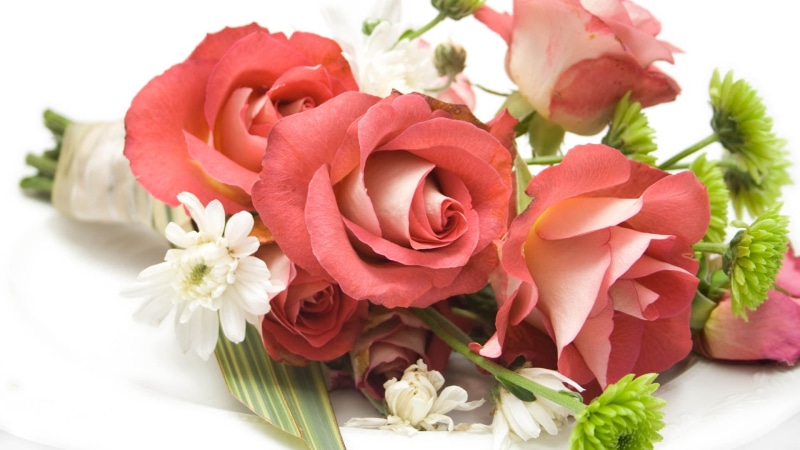 romance, decoration, rose, freshness, close-up, flowering plant, summer, bouquet, gift, blossom, anniversary, red, fragility, white, wedding, celebration