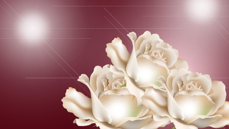 star, roses, glow, 1080P, bright, flowers, 3d and abstract, stars, light, white, firefox persona, rose, summer