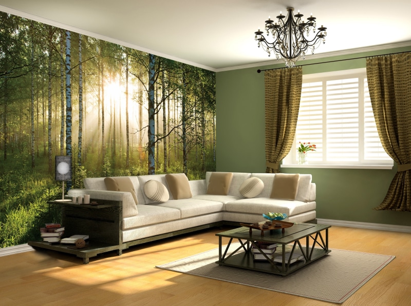 luxury, wealth, plant, living Room, elegance, building, no People, comfortable, home Interior, white, wood - Material, home, electric lamp, built structure