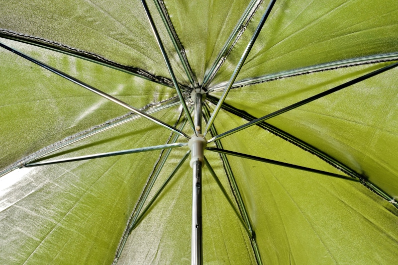 protection, large, directly below, stretched, linkage, reflector umbrella, screen, day, plant, full frame, umbrella, leaf, nature, close-up, growth, security