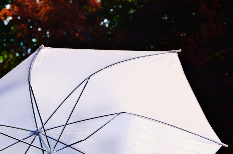 sun protection, day, protection, umbrella, Parasol, no People, 5K, single object, outdoors, security, focus on foreground, light, shade tree, Sunlight