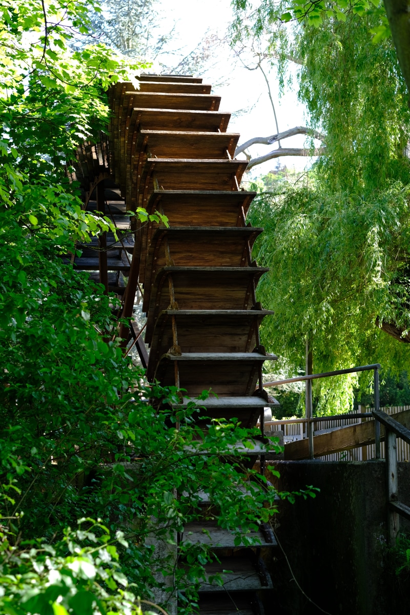 nostalgic, iron, steps, technical devices, 5K, staircase, rusty, tree, Drive, low angle view, transmission, plant, green color, camshaft, drive shaft