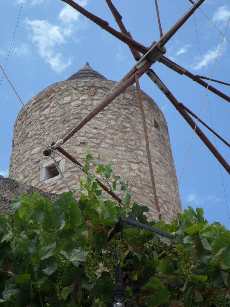 no people, wine, stony, building, mill, mallorca, historically, nature, wind energy, linkage, plant part, day, architecture, landmark, overgrown, environmental conservation