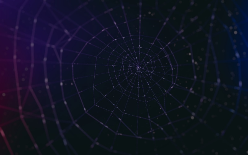 geometric shape, wet, drop, spider, water, shape, intricacy, fragility, 1080P, close-up, abstract, spider web, concentric, no people, complexity, focus on foreground