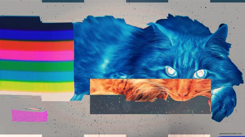 indoors, domestic cat, glitch art, animal, container, pets, portrait, illustration, domestic animals, one animal, whisker, mammal, cat, vertebrate, no people