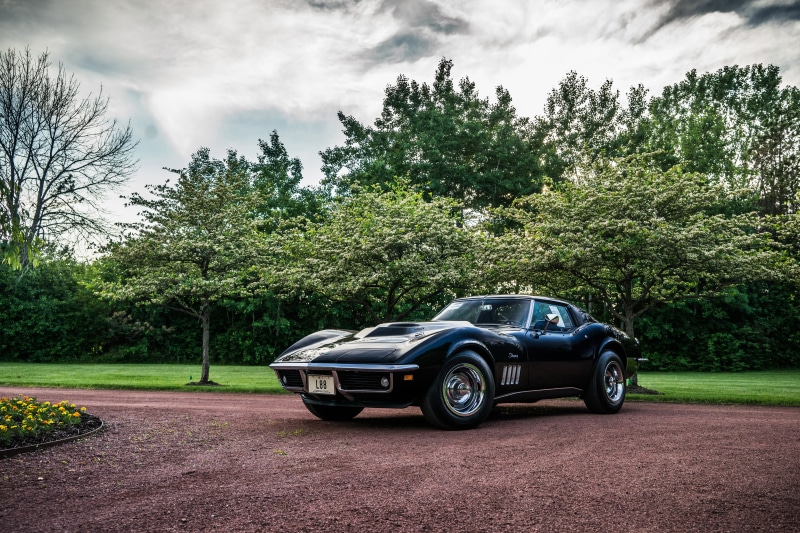 land, 1969, stationary, Stingray, growth, tree, car, Corvette, retro styled, nature, no people, outdoors, c, sky, black, land vehicle, plant, travel, day