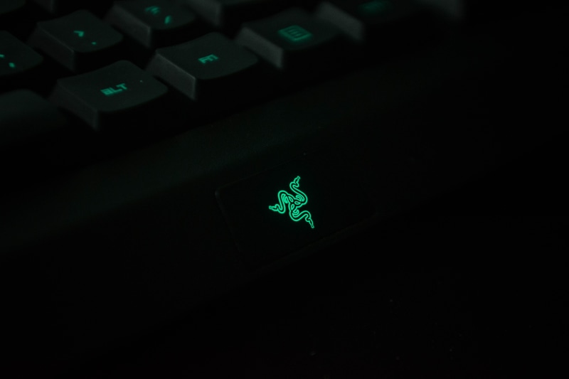light - natural phenomenon, animal themes, razer, computer keyboard, studio shot, representation, 5K, connection, darkroom, brand, dark, close-up, green color